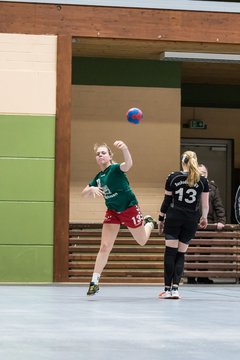 Bild 281 - Damen HSG Kremperheide/M�nsterdorf - Suchsdorfer SV : Ergebnis: 39:22